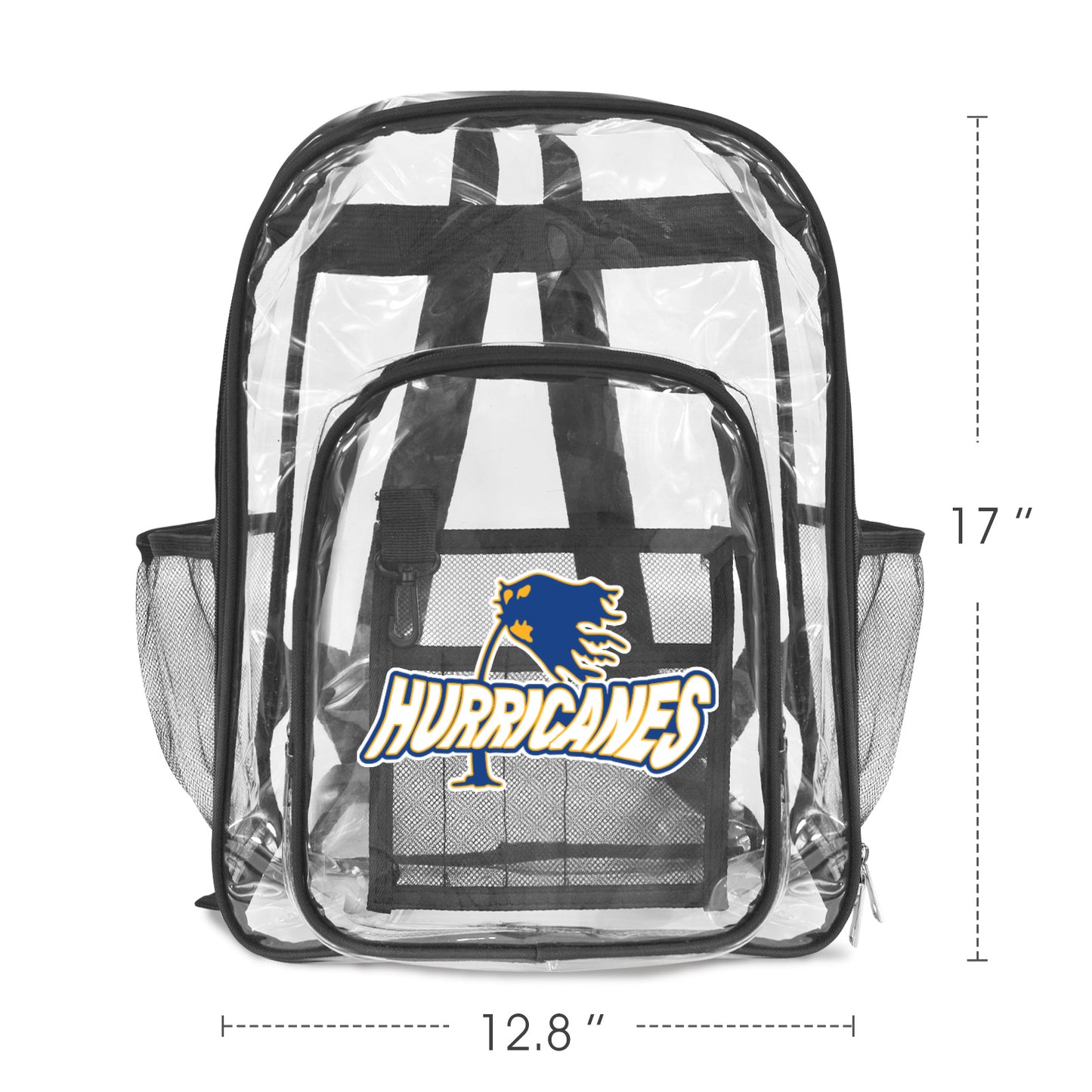 Transparent Backpack