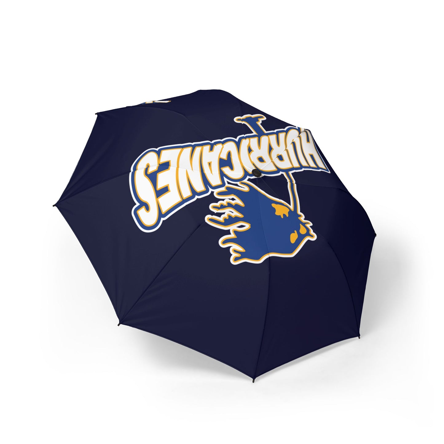 Automatic Foldable Umbrella