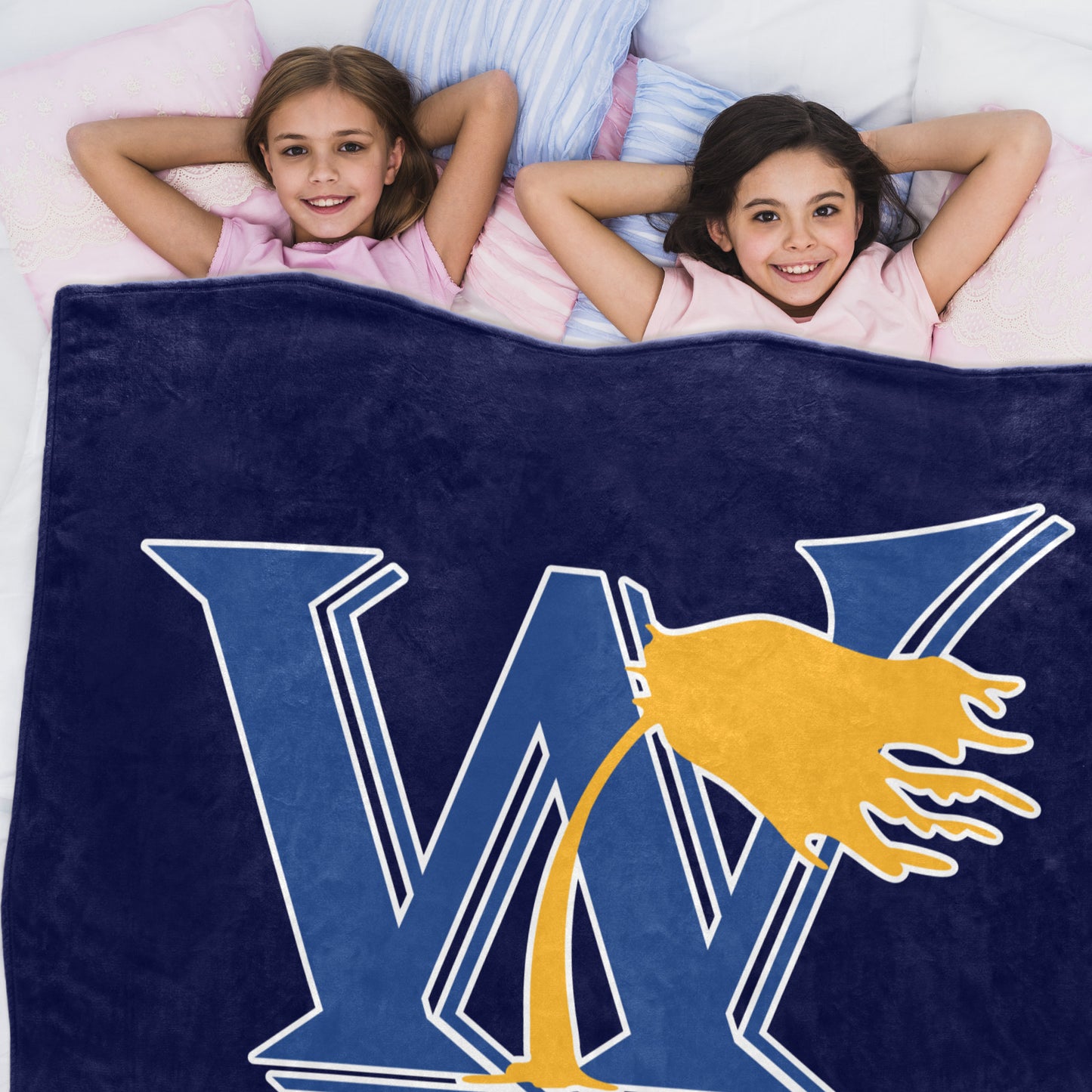Ultra-Soft Micro Fleece Blanket