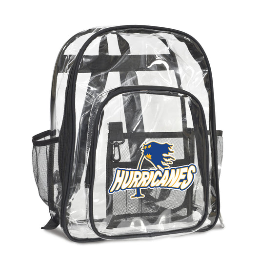 Transparent Backpack